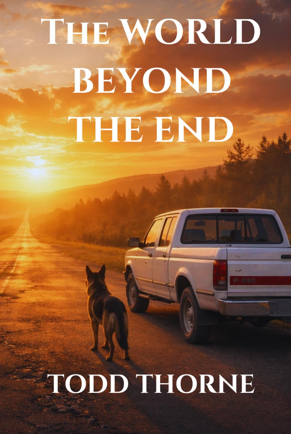 The World Beyond the End book cover